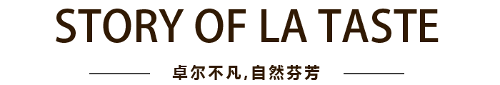 CC国际·(集团)官方网站