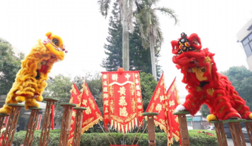 龙腾狮跃，共铸鲜丽未来！